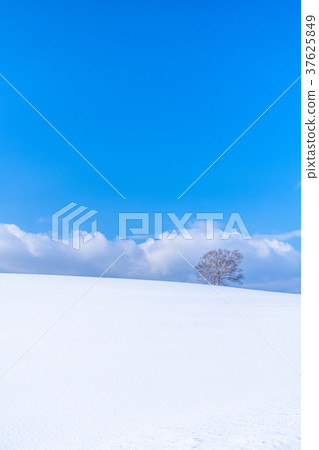 "Hokkaido" The ground of the hills and snowfields of Biei "Hokkaido" The ground of the hills and snowfields of Biei 37625849