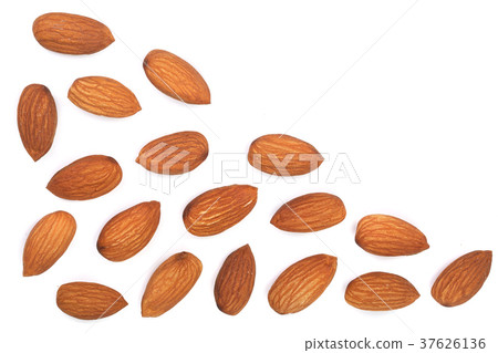 almonds isolated on white background with copy 37626136
