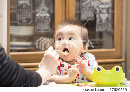 Baby Food  37626219