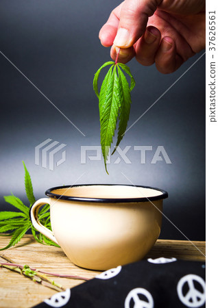Hand taking out marijuana leaf from cannabis tea 37626561