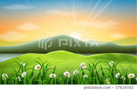 Mountain landscape background with daisies flower Mountain landscape background with daisies flower 37626592