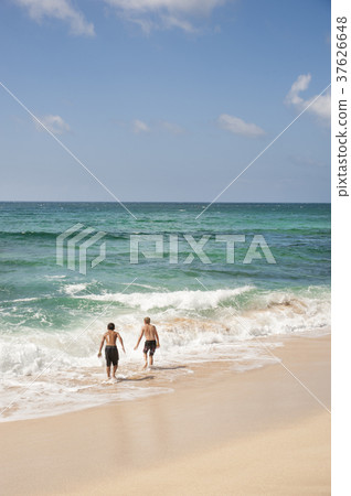 Stand up paddle 37626648