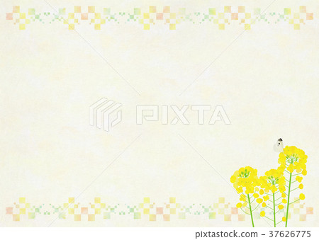 Background material _ rape and butterfly 37626775
