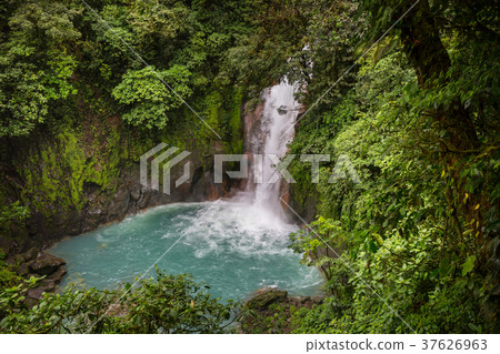 Waterfall in Costa Rica Waterfall in Costa Rica 37626963