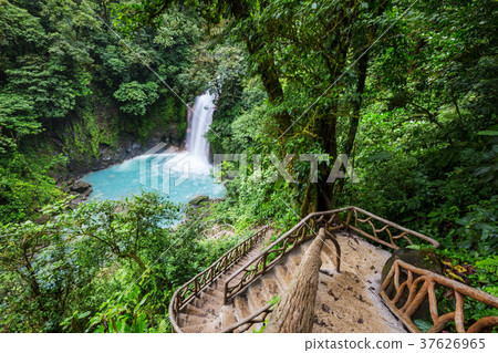 Waterfall in Costa Rica 37626965