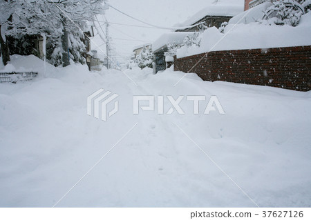 大雪住宅區 大雪住宅區 37627126