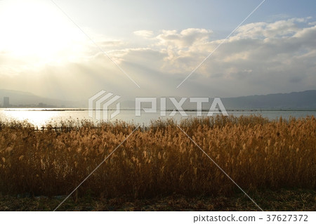 Yoshi community of Lake Biwa Yoshi community of Lake Biwa 37627372