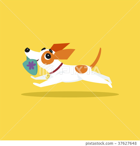 Cute jack russell terrier running with slipper in Cute jack russell terrier running with slipper in 37627648