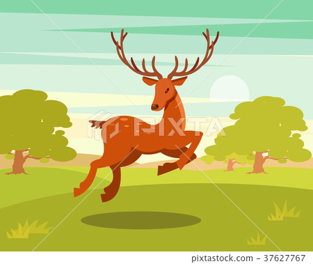 Brown spotted deer with antlers running, wild 37627767