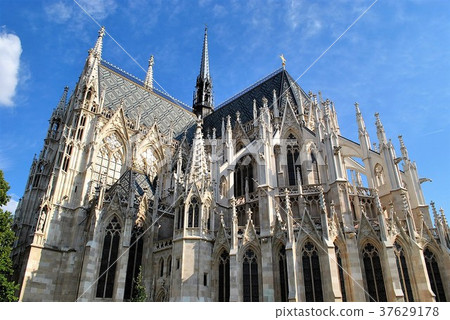 St. Stephen's Cathedral Cathedral Vienna St. Stephen's Cathedral Cathedral Vienna 37629178
