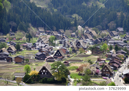 從Kashiwacho城堡廢墟觀測所的Shirakawago 37629999