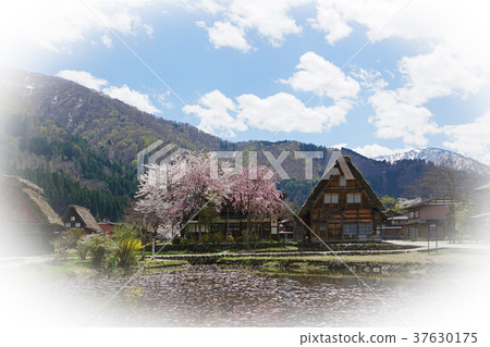 春川白川鎮 37630175