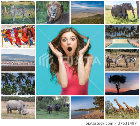 Collage from images of wildlife and beautiful 37631497