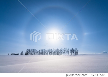 《Hokkaido》Winter Mild Seven Hill, Beautiful Illusionary Ring 《Hokkaido》Winter Mild Seven Hill, Beautiful Illusionary Ring 37631586