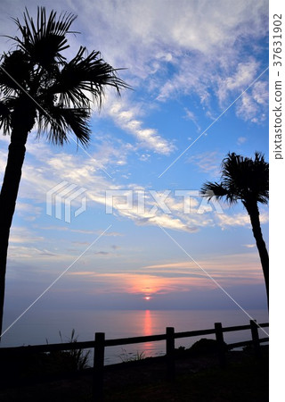 奄美十景觀大浜海濱公園的日落02 奄美十景觀大浜海濱公園的日落02 37631902