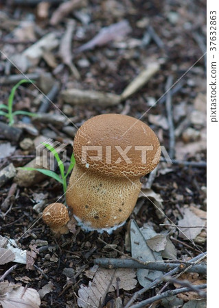 It seems that there are still few wrinkles. 37632863