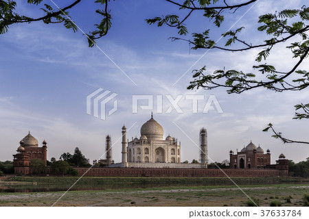 Iconic view of Taj Mahal one of the World Wonders Iconic view of Taj Mahal one of the World Wonders 37633784