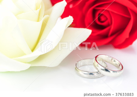 Red rose and wedding ring on white Red rose and wedding ring on white 37633883