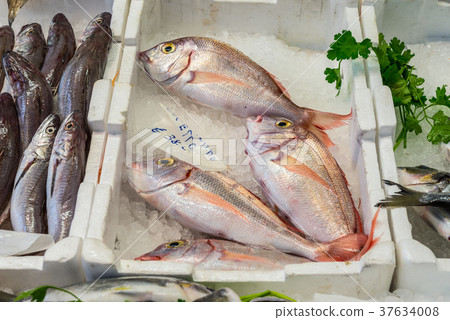Fresh fish on the market 37634008