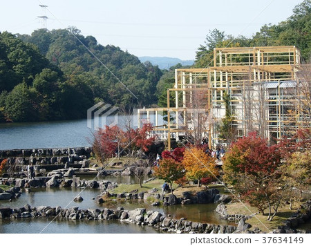 基亞納國家紀念公園 37634149