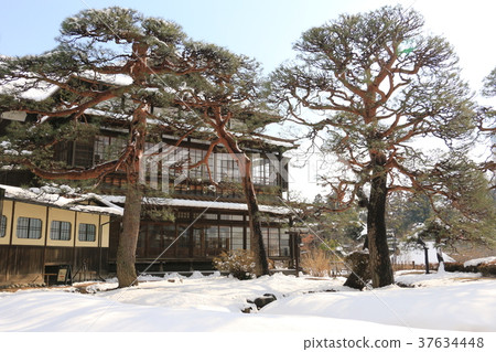 Rikkaku of Snow 37634448