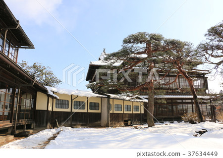 Rikkaku of Snow 37634449