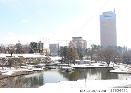 前橋公園的雪 前橋公園的雪 37634451