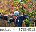 稻草人 37634512