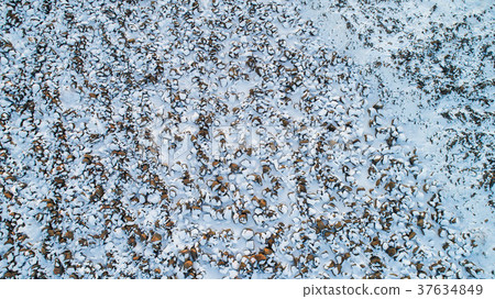 stones shot from a drone . background winter 37634849