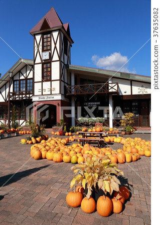 Hokkaido Niseko Station 37635082