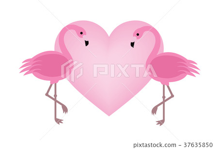 Exotic birds love. Flamingo couple. Beautiful pink Exotic birds love. Flamingo couple. Beautiful pink 37635850