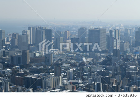 日本的東京都市風景“我想看建築物和羽田機場等”=東京在東京的第一次大雪四年 37635930