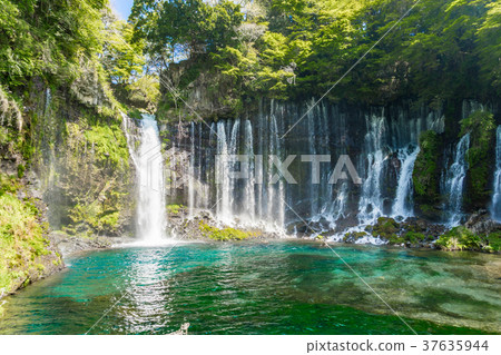 [Shizuoka Prefecture] Shiraito Falls 37635944