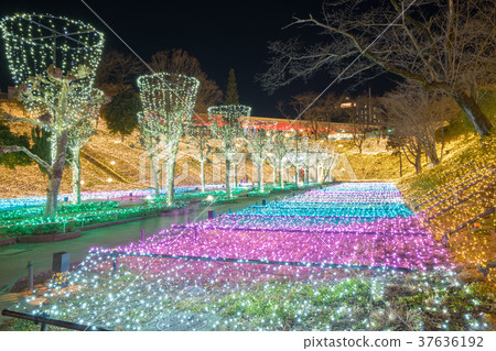 [Saitama] Illumination of Seibuen Amusement Park 37636192