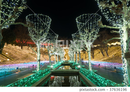 [埼玉] Seibuen遊樂園的照明 37636196