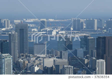 日本的東京都市風景“我想看Toyosu等”= Daiketsu 1 dawn·東京2018年1月23日東京4年來第一次拍攝 日本的東京都市風景“我想看Toyosu等”= Daiketsu 1 dawn·東京2018年1月23日東京4年來第一次拍攝 37636354