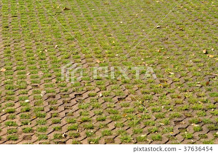 Brick flooring and grass. Brick flooring and grass. 37636454