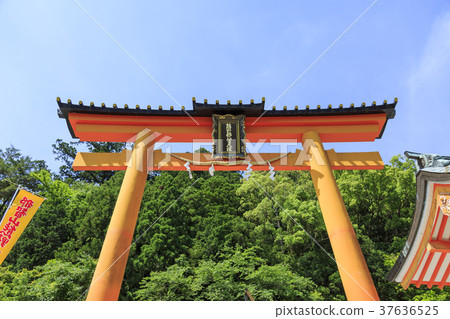 Wakayama Prefecture · Kumano Nachi Shrine 37636525