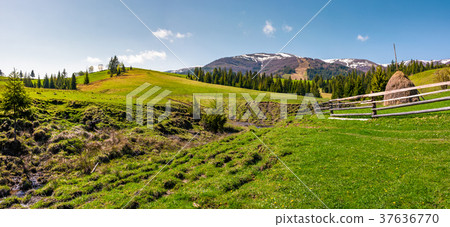 panorama of grassy meadow of rural area 37636770