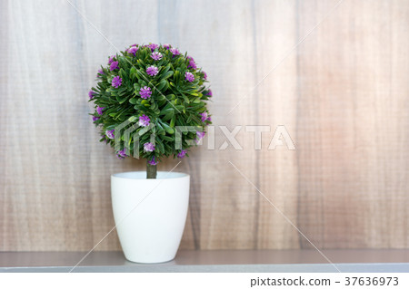 The tree in the white pot is on the table. 37636973