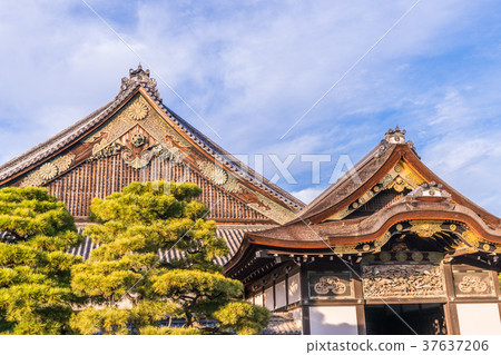 Landscape of Japan Kyoto Fall Nijo Castle (Ninomaru Palace) Landscape of Japan Kyoto Fall Nijo Castle (Ninomaru Palace) 37637206