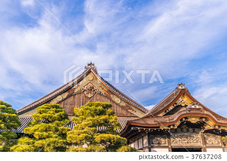 Landscape of Japan Kyoto Fall Nijo Castle (Ninomaru Palace) Landscape of Japan Kyoto Fall Nijo Castle (Ninomaru Palace) 37637208