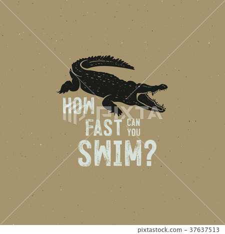 crocodile logo template. Symbol of alligator crocodile logo template. Symbol of alligator 37637513