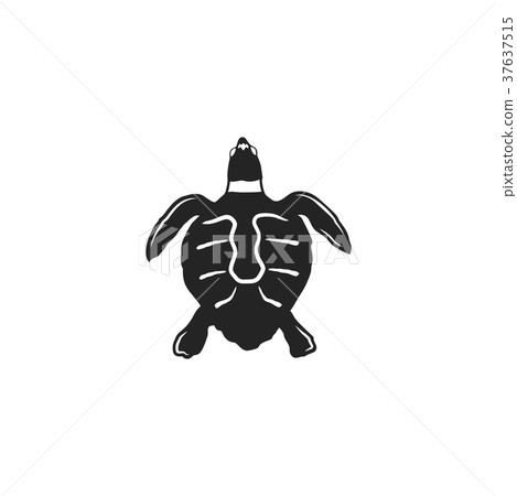 turtle silhouette shape. Wild animal black icon turtle silhouette shape. Wild animal black icon 37637515