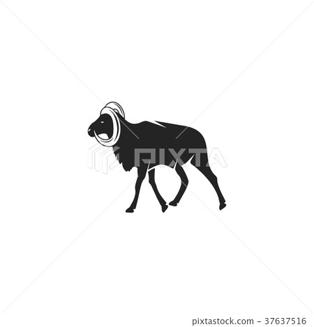 Wild Goat silhouette icon design. Wild animal Wild Goat silhouette icon design. Wild animal 37637516
