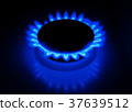 Blue gas stove in the dark 37639512