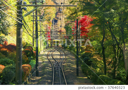 秋葉高尾山纜車內的秋葉和鐵路 37640323