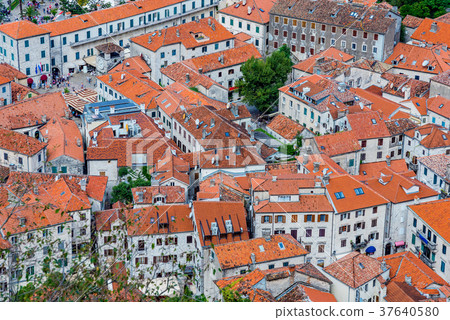 View of Kotor old town View of Kotor old town 37640580