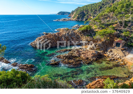Nice detail from Costa Brava coastal in Spain 37640929