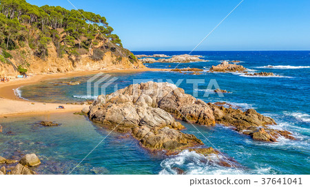 Nice detail from Costa Brava coastal in Spain 37641041